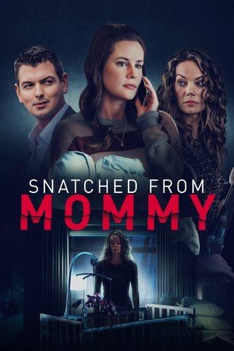 Snatched from Mommy film afişi