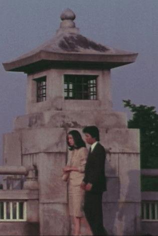 Female Doctor in the Surgical Ward film afişi