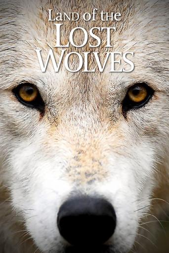 Land of the Lost Wolves dizi afişi