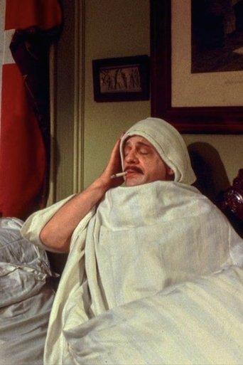 Komedie i grænselandet film afişi