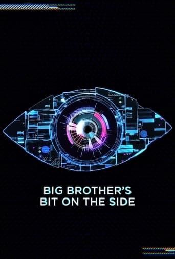 Big Brother's Bit on the Side dizi afişi