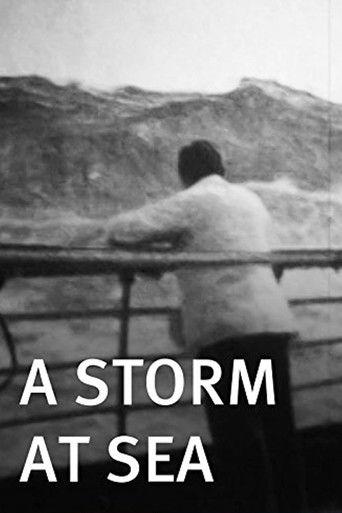 A Storm at Sea film afişi