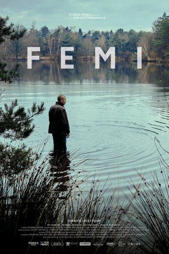 Femi film afişi