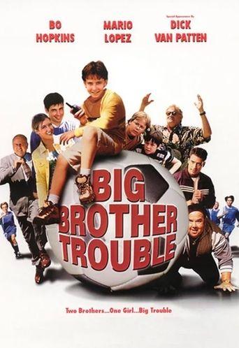 Big Brother Trouble film afişi