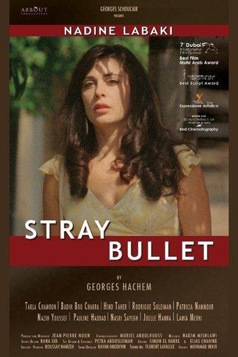 Stray Bullet film afişi