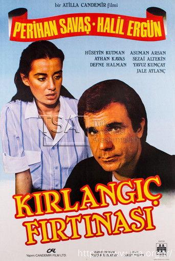Kırlangıç Fırtınası film afişi
