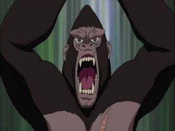 Land Ahoy! Is this the Paradise Island?