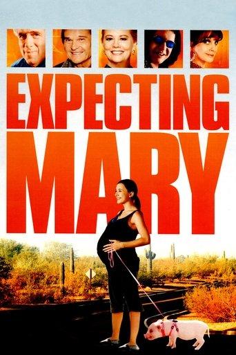 Expecting Mary film afişi