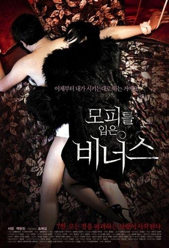 Venus in Furs film afişi