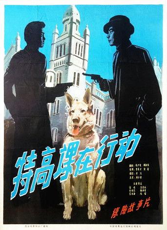 The Secret Service in Action film afişi