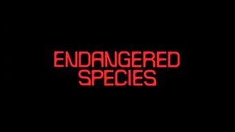 Endangered Species (1982)