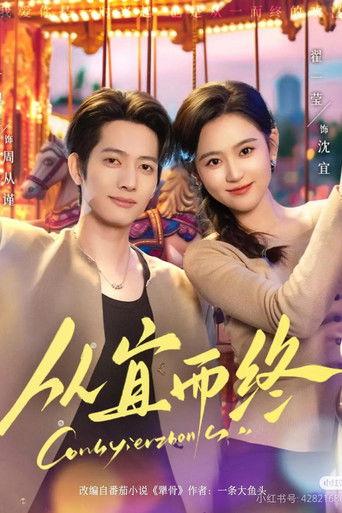 从宜而终 dizi afişi