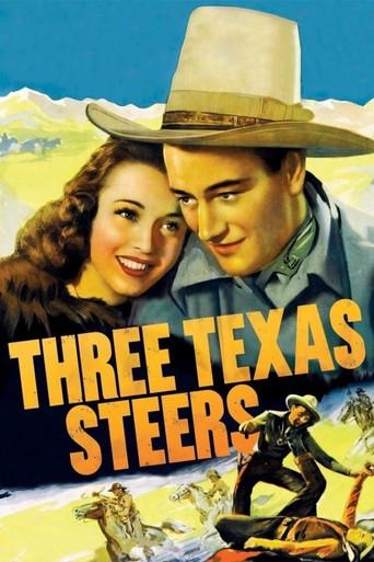 Three Texas Steers film afişi