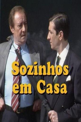 Sozinhos em Casa dizi afişi