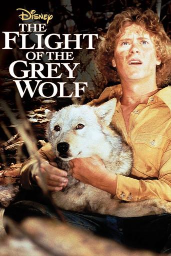 The Flight of the Grey Wolf film afişi