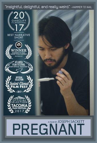 Pregnant film afişi