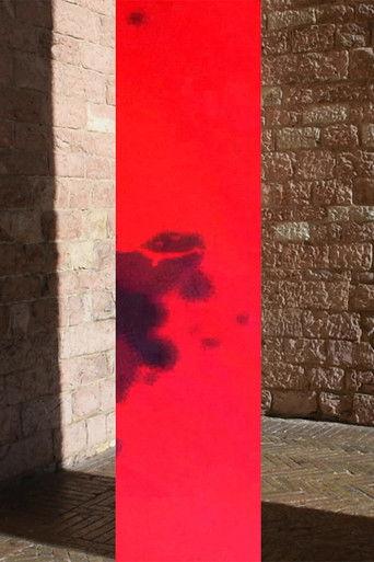 Double Around the Interlude film afişi