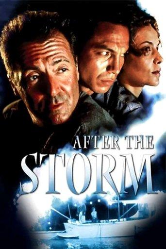 After the Storm film afişi