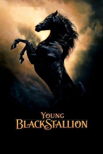Young Black Stallion film afişi