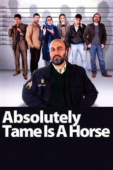 Absolutely Tame Is a Horse film afişi