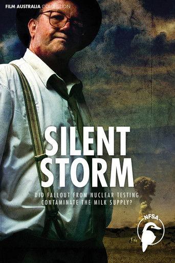 Silent Storm film afişi