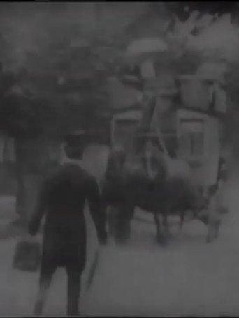 The Bewitched Traveller film afişi