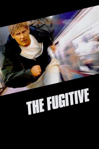 The Fugitive film afişi