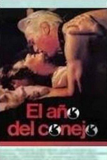 El año del conejo film afişi