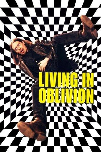 Living in Oblivion film afişi