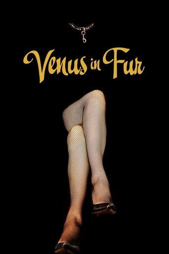 Venus in Fur film afişi