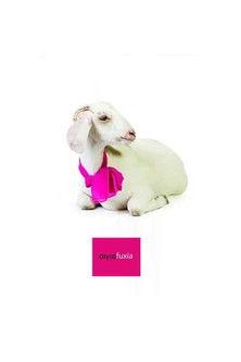 Aigia Fuxia dizi afişi