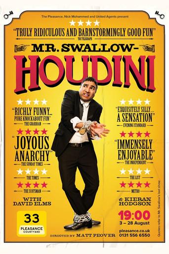 Mr Swallow: Houdini film afişi