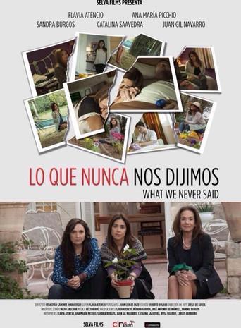 What We Never Said film afişi