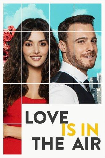 Love Is in the Air dizi afişi