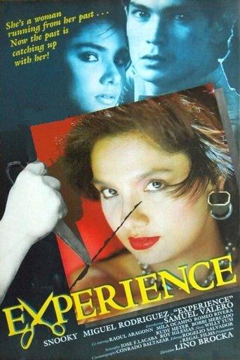 Experience film afişi