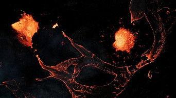 Transgender Healthcare, Geldingadalir, Exhume the Truth