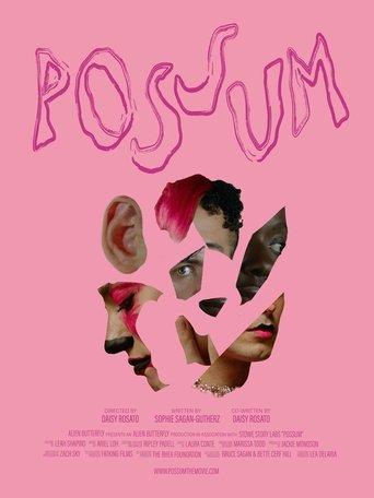 POSSUM film afişi