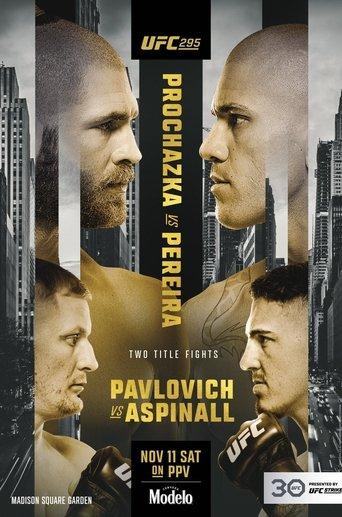 UFC 295: Prochazka vs. Pereira film afişi