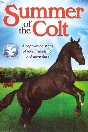 Summer of the Colt film afişi