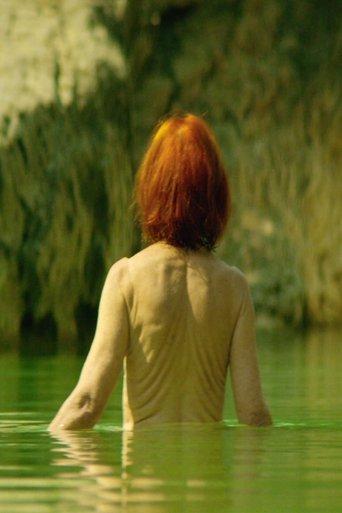 Tempus Fugit film afişi