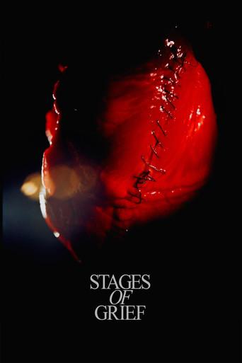 Stadier af sorg film afişi