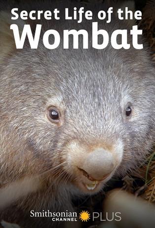Secret Life of the Wombat dizi afişi