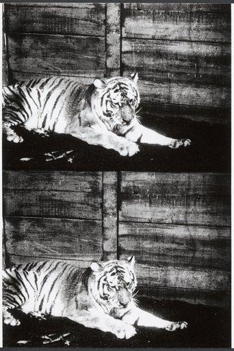 Beasts of the Jungle film afişi