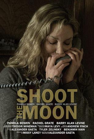 Shoot the Moon film afişi