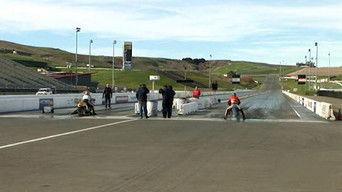 Young Scientist Special