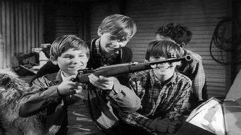 In a Plain Paper Wrapper