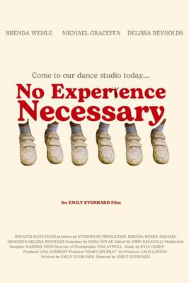 No Experience Necessary film afişi