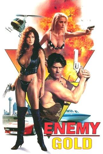 Enemy Gold film afişi
