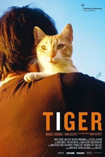 Tiger film afişi