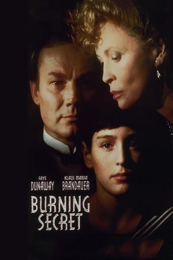 Burning Secret film afişi